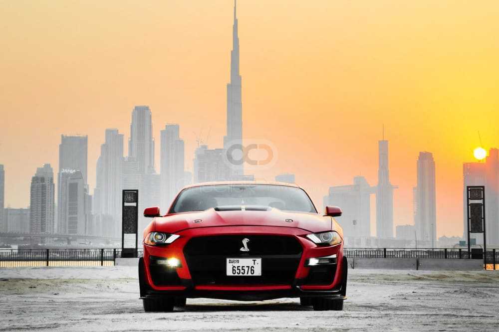 Rent Red Ford Mustang Shelby GT350 Kit Coupe V4 in Dubai-pic_4