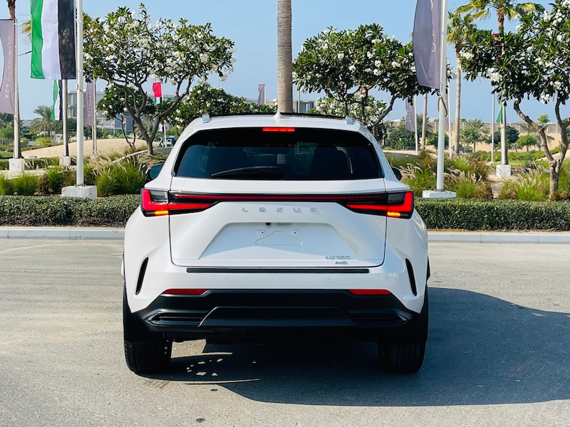 Lexus NX 350 White SUV-pic_1